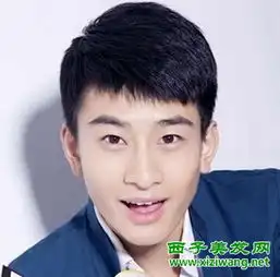  2015年阳光帅气潮男短发发型