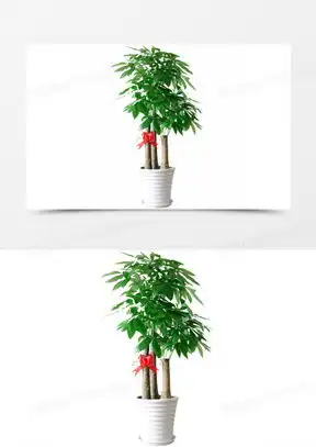 发财树的图片可爱头像大全熊猫办公