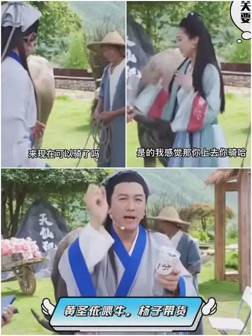  明星直播,退,退,退