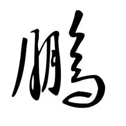 图片张字头像微信艺术签