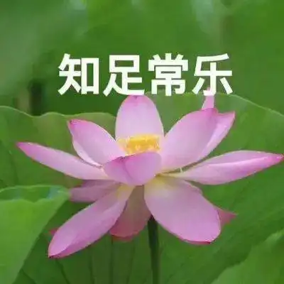  在西航西航er又双叒叕被嫌弃了寒假生存指南已备好,求生欲满分