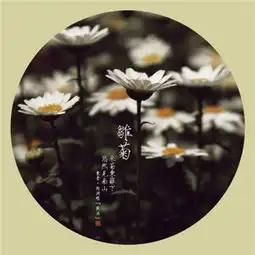  小清新唯美雏菊头像大全2018超有意境最深的爱往往最沉默