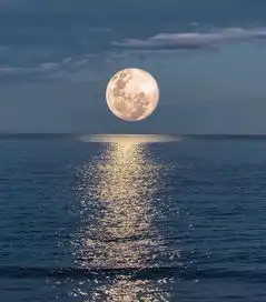  沙浩天津的主页快手直播