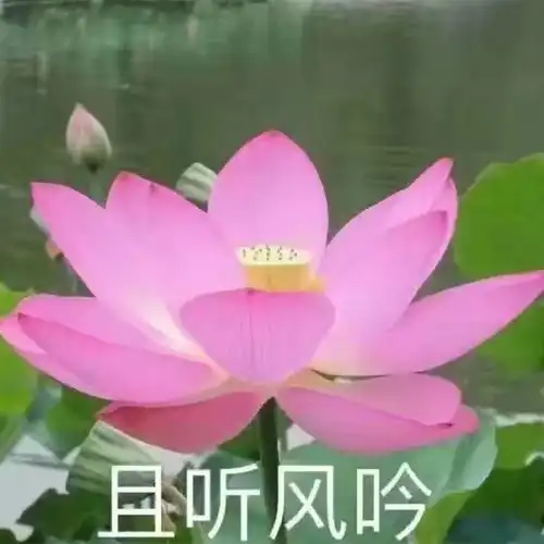  dec.6th杂图