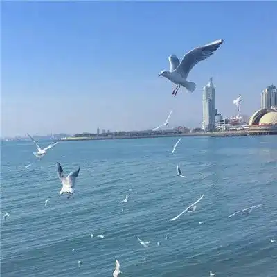  2023最新干净清爽唯美图片
