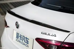  意式四叶草的降维出击爱卡汽车图片