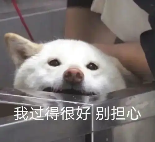 这就是留学圈hiphop男的下场