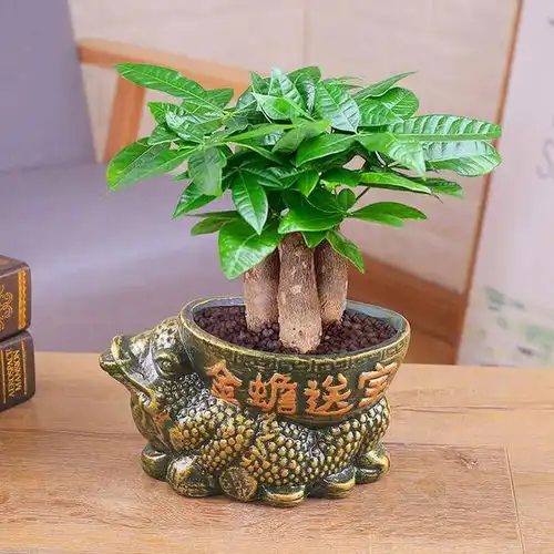  街拍美女的穿着十分的好看,非常的潮流