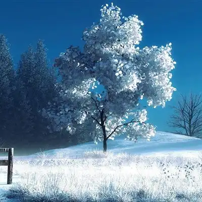  唯美雪景头像,美丽的冬季风光雪景做头像真是不错的