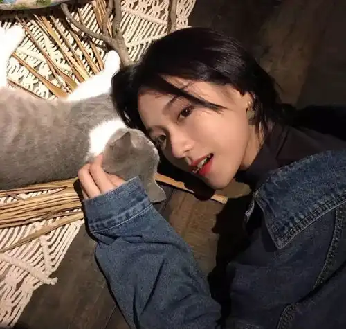  头像不问归期不再联系不用等你