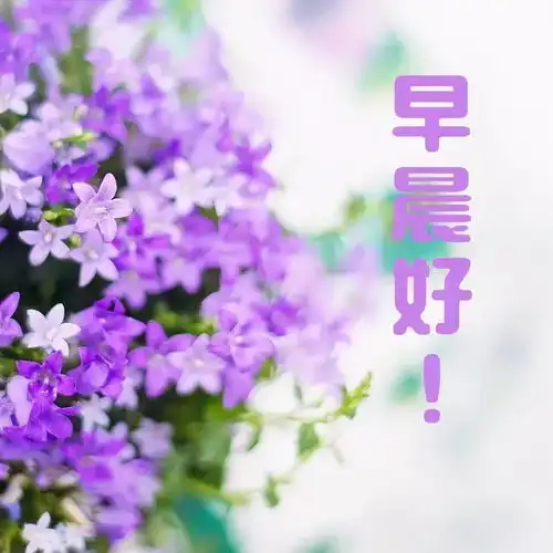  简短早上好问候语大全早安动态图片祝福语带字