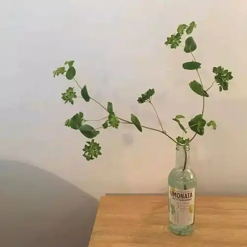 杂句头像爱是啰嗦不爱是冷漠
