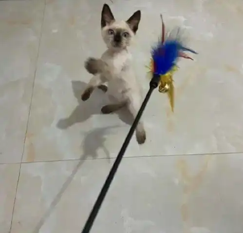  全世界的闺蜜聊天都是这样的吗哈哈哈哈哈哈哈过于真实了
