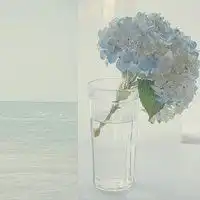  微信图像花和草的图片微信头像图片大全