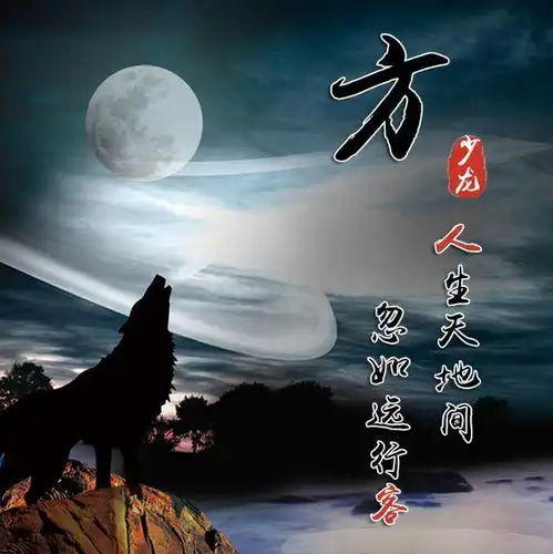  励志血性狼姓氏头像微信头像,送给在困境中坚持梦想的你