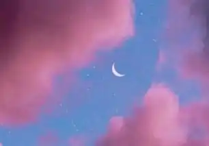  唯美诗意的微博名字女生清新花与时光同眠