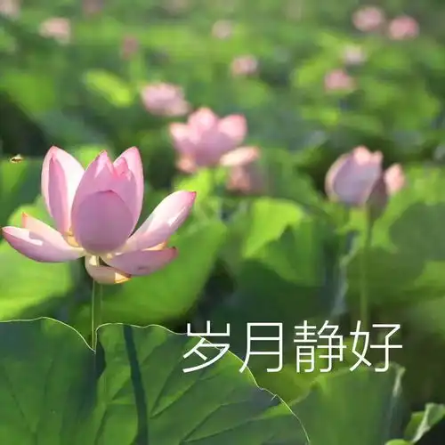  当初换个头像我可能早就脱单了