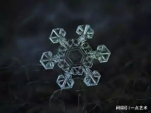  唯美雪花
