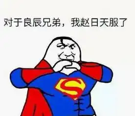 叶良辰什么梗叶良辰是谁叶良辰是怎么回事叶良辰是干嘛的