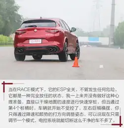 幸运草头像四叶草urus