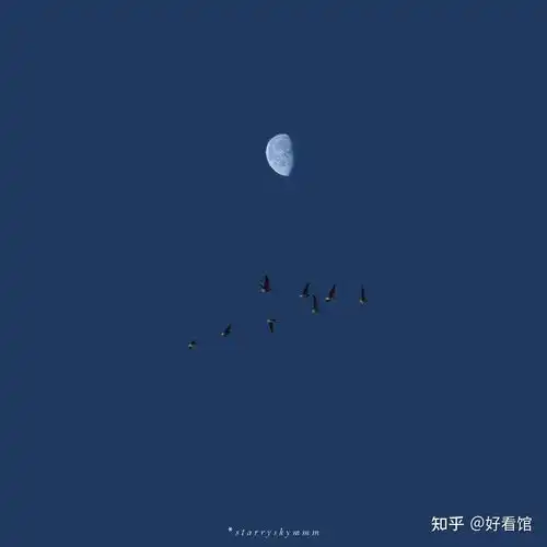  小清新唯美头像小清新简约头像好看又独特的头像微信头像简单漂亮女生头像森系小清新唯美简约温柔头像简单干净小清新头像简约情头黑白文艺极简干净的图片