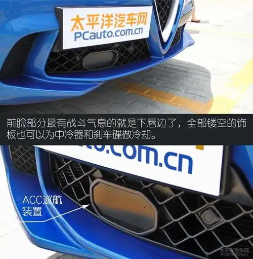  意式激情实拍阿尔法罗密欧stelvio四叶草