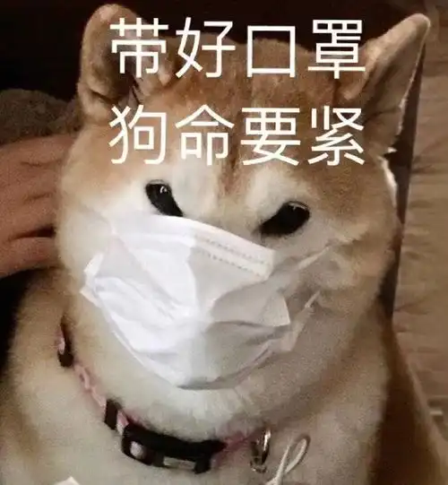 口罩头像图片大全图集可