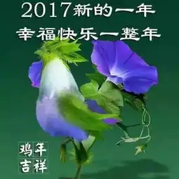  微信头像能反映你是什么样的人老外对此深有研究可别乱用头像了