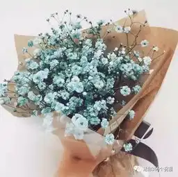  早上好一首今生有你送给亲爱的朋友愿你一生幸福一世平安