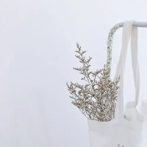 毕业两年怒改的三套房,有小清新,也有北欧风,还混搭了少女心