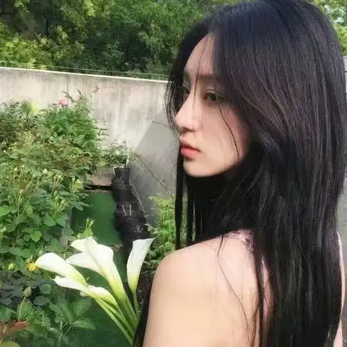  白莲花