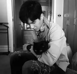  刘昊然与妖猫亲密合影粉丝赞你也很可爱