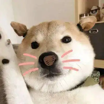  微信头像丨情侣头像,卡通动漫头像,女生头像