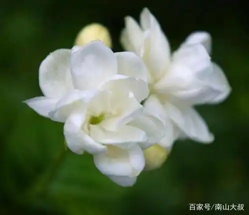  人到四十还一事无成的人,就别谈什么情怀了,警醒吧