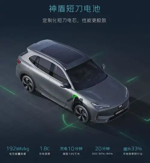  最适合家用的纯电紧凑型suv来了买车必看