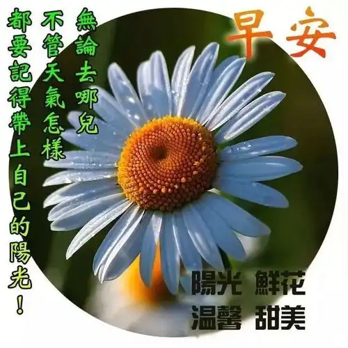  早上好动态表情图片分享早上好暖心问候语短信
