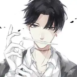  男头小狼狗