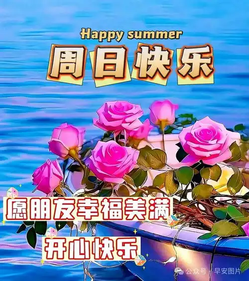  2024年8月25日周日精选早安祝福图片,雨过菊花香,又感秋风凉早安祝福美图分享给您网易订阅