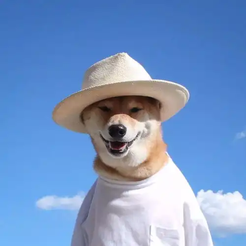  穿上衣服的狗,忽然间有了性格