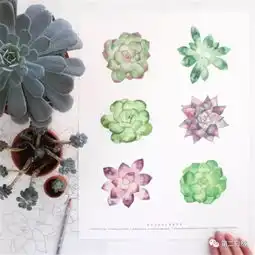  美国女插画师把家变成了植物园,每天从花草中醒来