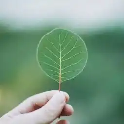  好好睡觉,才是头等大事