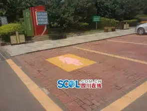  四川成都现女士专用停车位比正常宽50cm图