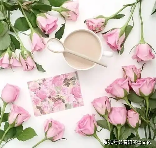  最美短句子精选,清新脱俗,内容引起极度舒适