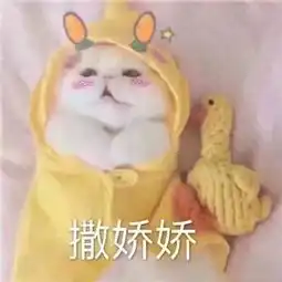 女生专用招桃花表情包