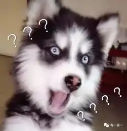  网红鼻祖的奢华生活令人羡慕,但真相连隔壁家的狗看了都尴尬