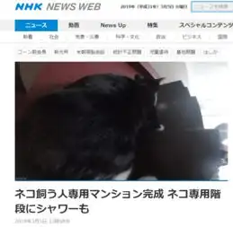  日铲屎官公寓上线25至30平有猫咪专用浴室