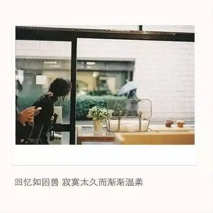  有些人不属于你,但遇见了也挺好