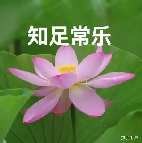  学校会在疫情差不多好的时候开学吗,还是完全好了才开学