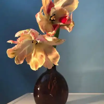 微信头像中年女花花草