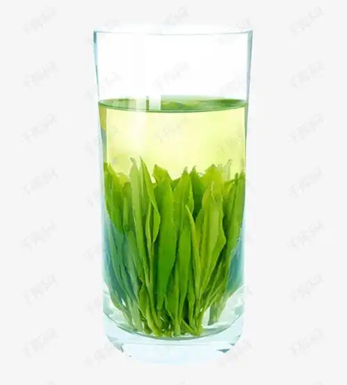  一杯绿茶素材图片免费下载高清png千库网图片编号8430930